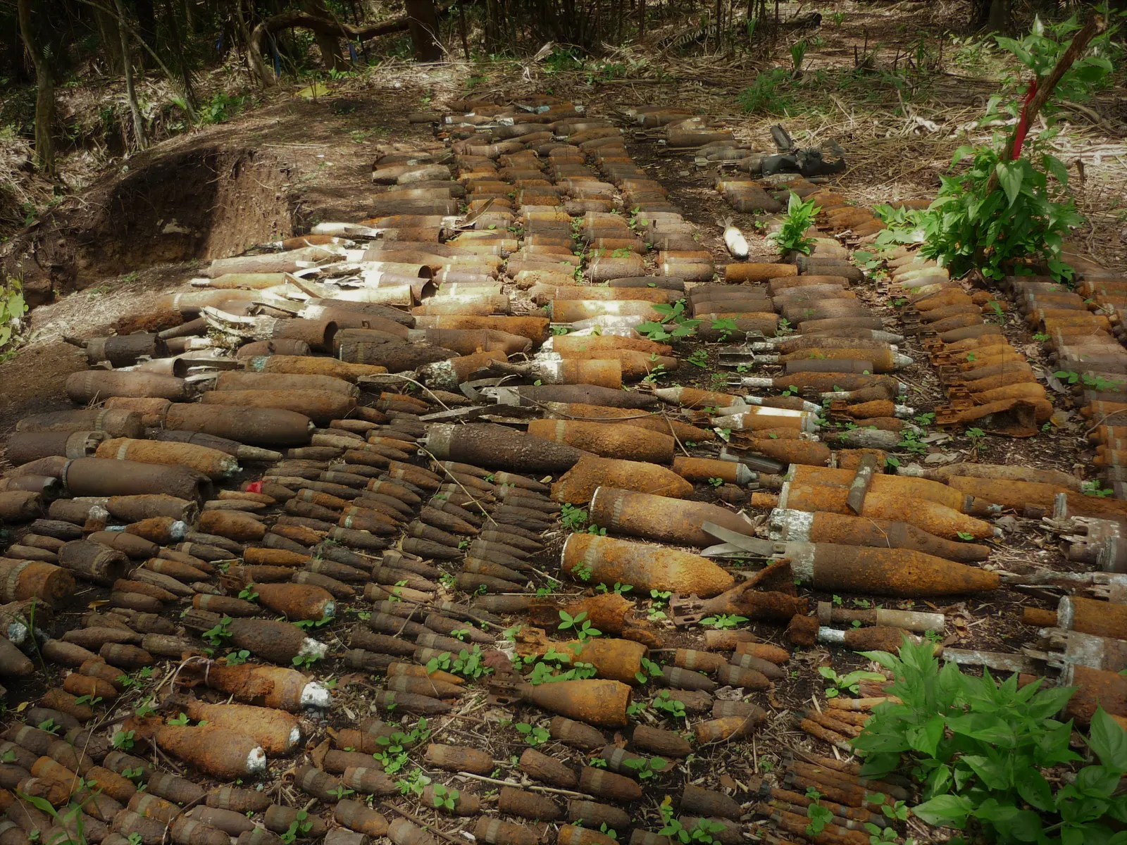 Portada UXO Panamá