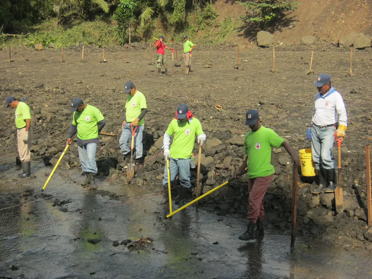 UXO Panamá - Proyectos